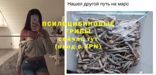 Альфа ПВП Алексеевка