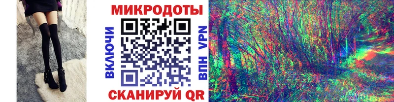 hydra   Гвардейск  Псилоцибиновые грибы Psilocybine cubensis 