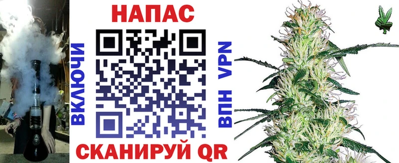 Конопля MAZAR  Гвардейск 